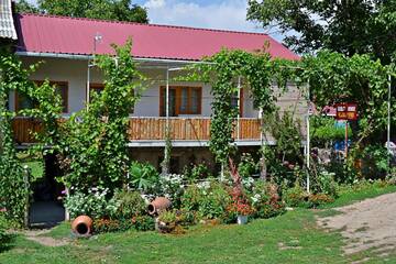 Фотографии Гостевой дом Guest House Aleksandre г. T'mogvi (Грузия) №4 Фото Гостевой дом Guest House Aleksandre г. T'mogvi 4
